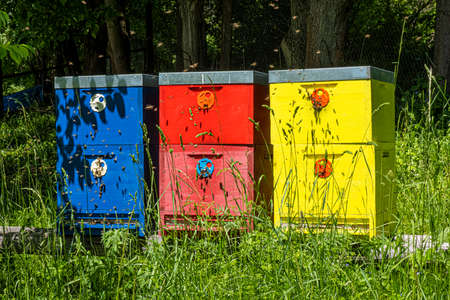 Bee hive located in Stara Lubovna town, Slovak republic. Beekeeping theme.の写真素材