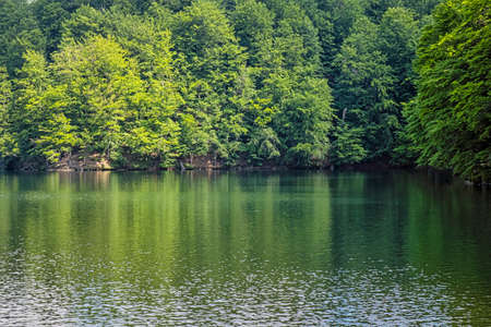 Morske oko lake, Vihorlat mountains, East Slovak republic. Seasonal natural scene.の写真素材
