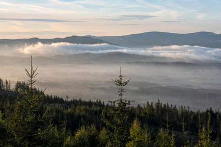Sunrise scene in coniferous forest, High Tatras mountain, Slovak republic. Hiking theme.