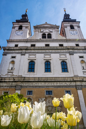 St. John the Baptist Cathedral, Trnava, Slovak republic. Religious architecture. Travel destination.の写真素材