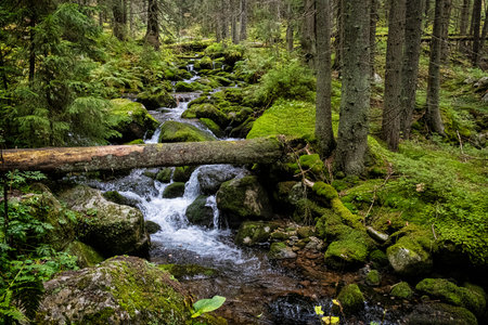 Scenery of brook in Bystra valley, Western Tatras mountain, Slovak republic. Hiking theme. Seasonal...