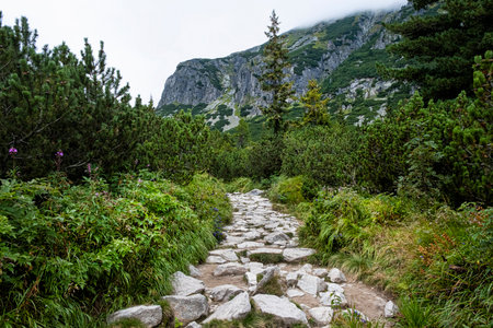 Mlynicka valley, High Tatras mountain, Slovak republic. Hiking theme. Seasonal natural scene.の写真素材