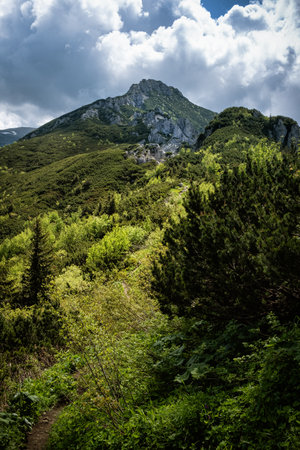 Western Tatras mountain scenery, Slovak republic. Hiking theme. Seasonal natural scene.の写真素材