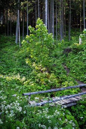 Western Tatras mountain scenery, Slovak republic. Hiking theme. Seasonal natural scene.の写真素材