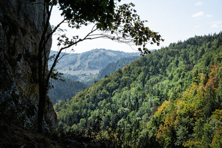 Zejmarska gorge, Slovak Paradise national park, Slovakia, Europe. Seasonal natural scene. Travel destination.の写真素材