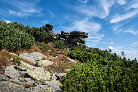 Kralova Hola, Low Tatras from Sumiac village, Slovak republic. Seasonal natural scene. Travel destination.の写真素材