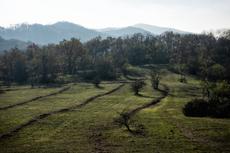 Seasonal natural scene, mountain range, travel destination. Hiking theme.の写真素材