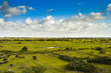 Dream Landscape Backgroundの写真素材