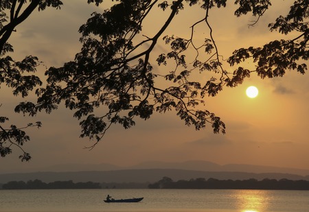 Sunset on the lake through the branches of the tree.の写真素材