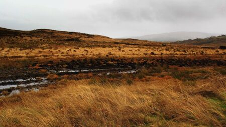 boggy filds in the mountains, turf staks, Connemara, Galway, Irelandの写真素材