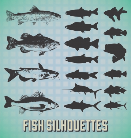 Set: Fish Silhouettesのイラスト素材