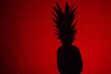 Silhouette of a Pineapple  on a warm, red backgroundの写真素材