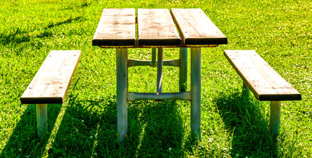 Picnic table sitting in a grassy area