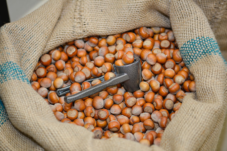 Variety of dried fruits and nutsの写真素材