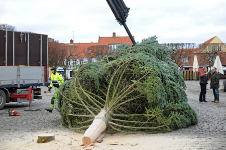 christmas tree instalの写真素材