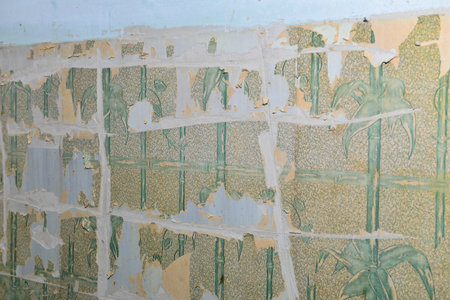 Man worker removing old wallpaper during renovationの写真素材