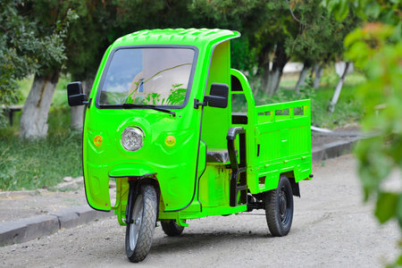 Green tuk tuk is parked on the street in the park