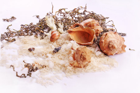 rice with barnacles and algae on a white background