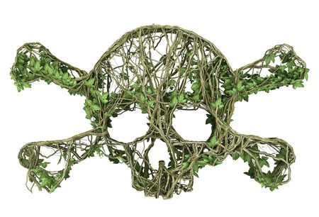 Ivy nature skull の写真素材