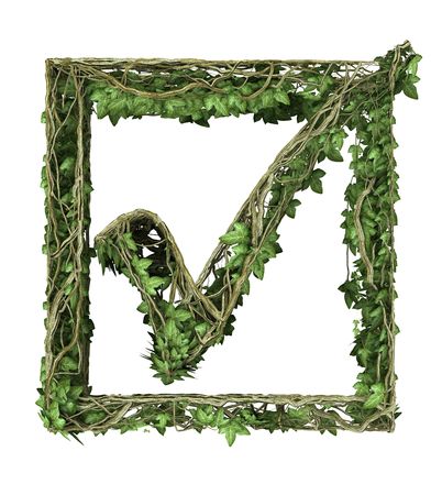  Ivy nature tick の写真素材