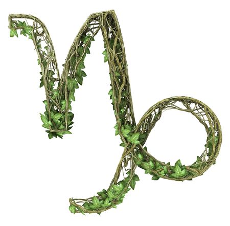 Ivy nature signs of the zodiac Goat-hornedの写真素材