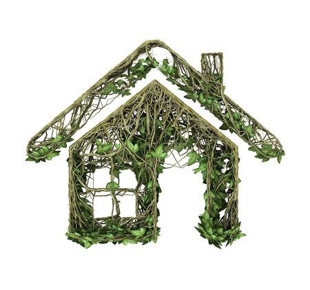 Abstract green house ivyの写真素材