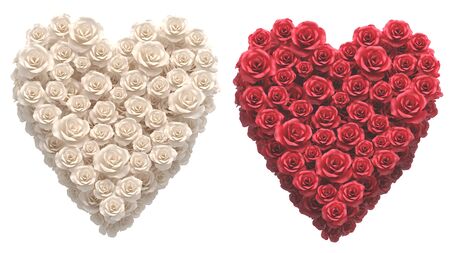 Red and White roses font.の写真素材