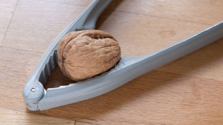 Nutcrackerの写真素材