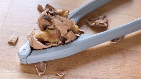 Nutcrackerの写真素材