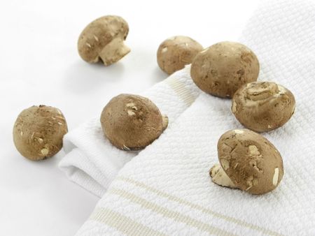 A collection of cremini mushrooms laying on top of a white dish towel.の写真素材