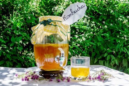 Refreshing kombucha tea with thyme in a glass old vintage bottle and a glass, with label written kombucha on it on backdrop of blurred flowers. Healthy natural probiotic flavored drink. Copy space.の写真素材