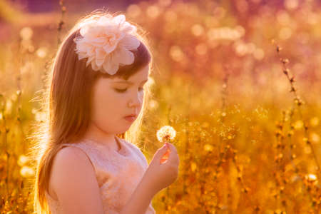 Allergy season - lovely little girl outdoor blowing dandelion over golden field, summer sunset nature outdoor. Soft focusの写真素材