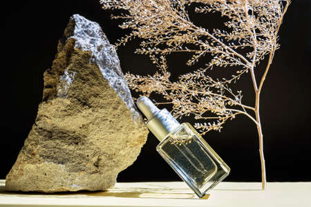 Concept of wellness and natural cosmetics. Bottle of herbal essential massage oil in photo composition of stone and dried flowers over black background . Beauty treatment. Hard light with shadows.の写真素材