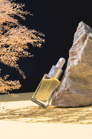 Concept of wellness and natural cosmetics. Bottle of herbal essential massage oil in photo composition of stone and dried flowers over black background . Beauty treatment. Hard light with shadows.の写真素材