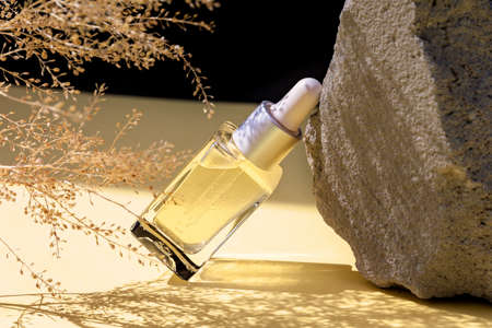 Concept of wellness and natural cosmetics. Bottle of herbal essential massage oil in photo composition of stone and dried flowers over black background . Beauty treatment. Hard light with shadows.の写真素材