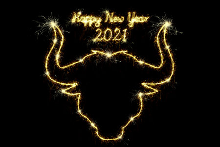 Sparkling burning simbol of the year bulls head, numbers 2021 and text Happy New Year isolated on...