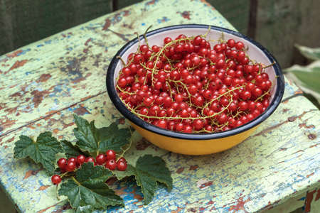 Berries of a red currant in a yellow metal bowl on a old wooden background in a rustic style. Front view, close-up.の写真素材