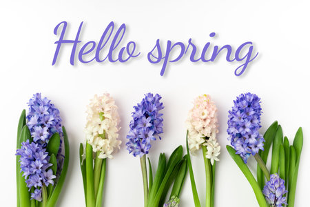 Flowers composition with light pink and blue hyacinths. Spring flowers on white background. Concept...