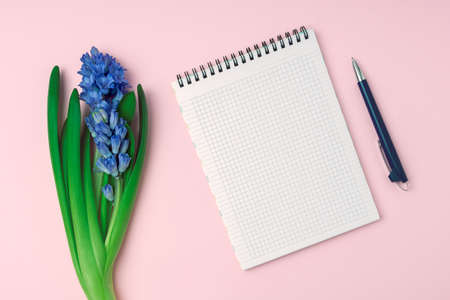 Mock up with blank notepad on pastel pink background with geocinth flower and pen. Female still life composition. Top view, flat lay, copy space.の写真素材