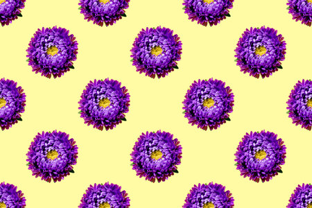 Seamless pattern of a beautiful purple flower Aster on soft yellow background. Minimal flowers...