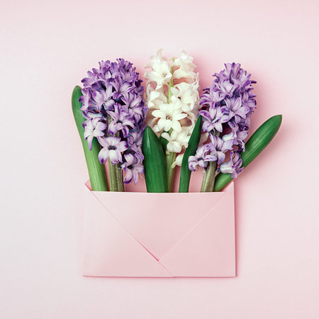 Bouquet of blue and white hyacinths flowers in pink envelope on pink background. Mock up, top view,...