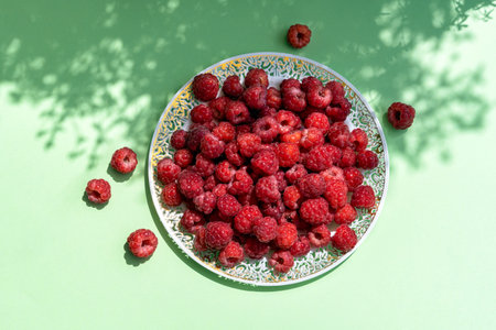 Red fresh raspberries on pastel green background with shadows of tree branches. Top view with copy...