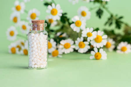 Classical homeopathy globules in vintage bottle on background of fresh chamomile flowers. Alternative homeopathy medicine herbs, healthcare and pills concept.の写真素材