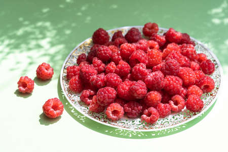 Red fresh raspberries on pastel green background with shadows of tree branches . Front view with copy space. Concept of healthy and eco food and gardening.の写真素材