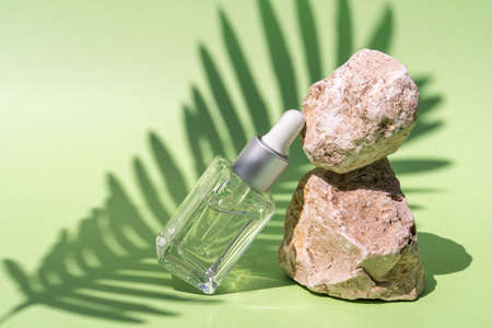 Cosmetic glass bottle with dropper for essential oils, creams and serum stand on stone over green background and tropical shadows. The concept of natural cosmetics. Mock up, front viewの写真素材