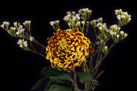 Close-up of autumn dahlia flower. Creative bouquetの写真素材