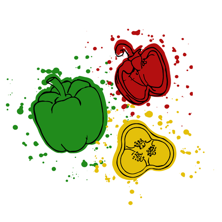 Hand drawn pepper. Vector illustration.のイラスト素材
