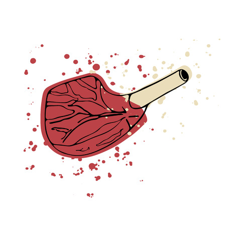 Hand drawn beef rib chop. Vector illustration.のイラスト素材
