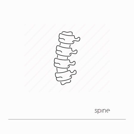 Spine icon isolated. Single thin line symbol of backbone. Human body anatomy outline pictogramのイラスト素材