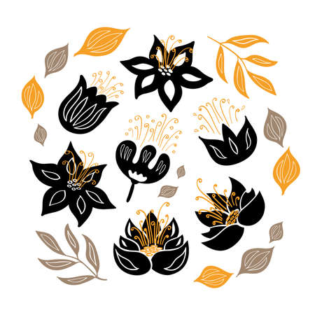 Set of hand drawn flowers and leaves. Fabulous plants. Botanical vector illustration.のイラスト素材